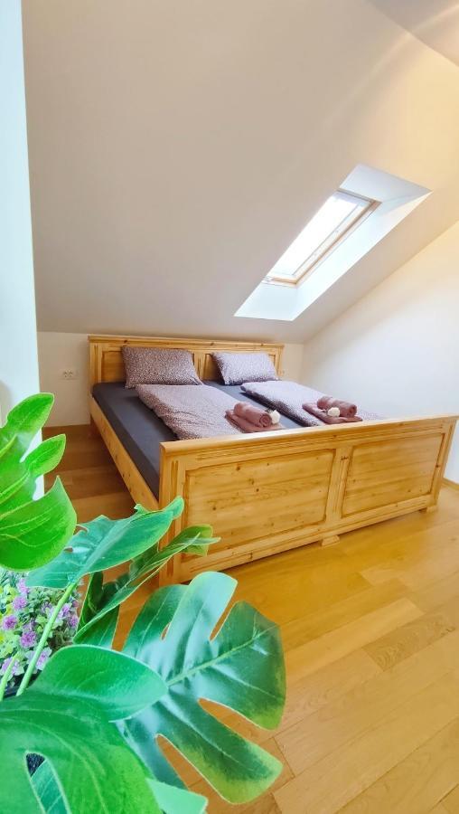 Apartmaji Dora Mojstrana Buitenkant foto